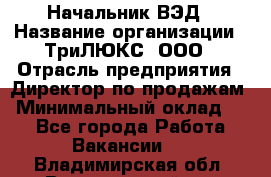 Начальник ВЭД › Название организации ­ ТриЛЮКС, ООО › Отрасль предприятия ­ Директор по продажам › Минимальный оклад ­ 1 - Все города Работа » Вакансии   . Владимирская обл.,Вязниковский р-н